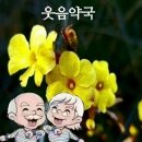 웃음약국 이미지