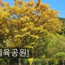 상사_체육공원 이미지