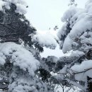 예산-01 이미지
