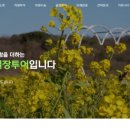 친절한송실장투어(힐링앤제주)