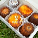 달샘 - 해운대구 | 해운대 까눌레 맛집 달샘 신세계 팝업 방문 후기