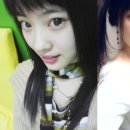 양 정 이미지