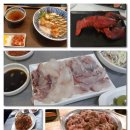 싸움의고수경주