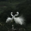 한티역약국 이미지