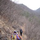 간대산 등산로 이미지