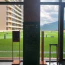 소노펠리체 델피노 이미지