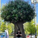 성서아울렛타운 이미지