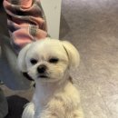 강서구댄스학원 - 딥무드댄스 스튜디오에서 초보자도 쉽게 배울 수 있어요.