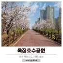 양주 평화의 소녀상 | 양주벚꽃 옥정호수공원 개화상태 야경 공영주차장