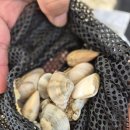 고래불 해수욕장 | 🏖 고래불해수욕장 대가족 여행 후기