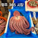 UR(영주시)-[구성로]-상-2 | 영주 여행 필수 코스 영주 365시장(볼거리, 먹거리, 주차, 랜 떡, 재래시장)