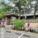 산죽칼국수 이미지