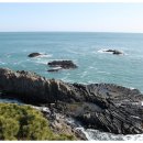 주상절리대 이미지