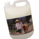 체리쉬퍼피 이미지