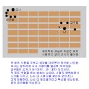 509회 테마꿈, 로또시험. 이미지