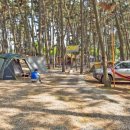 중앙솔밭캠핑장 이미지