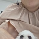 몽이슈