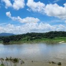 고랑포구 이미지