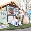 얼루어 카카오 검색결과