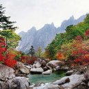 [ 우리의 산하여! ] - 광명시립합창단 / 최숙영 작시, 최현석 작곡(2015년 9월, 제16회 서울창작합창제(한국가곡작사가협회) ) 이미지
