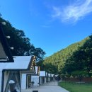 오로라 | 대전 근교 글램핑장 3곳 비교 후기, 직접 다녀온 장단점 정리