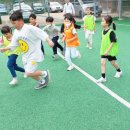 진주 봉래초등학교 경남연합일보