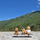 화북면사무소 화장실 | 경북 영천 보현산자연휴양림 : 숲속의 집 16인 대가족 숙소추천