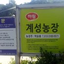 계성농장 이미지