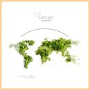 월드짐 헬스클럽 이미지