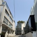 청담노엘의원 네이버블로그