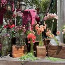 로데오 분수공원 이미지