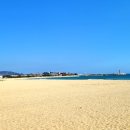해파랑길 22코스 영덕 블루로드 C 이미지