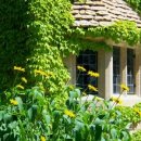 아름다운 세상 모두함께 이미지