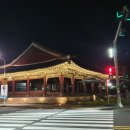 제주로베로 이미지