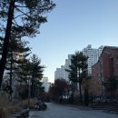 계남초등학교+은아유치원+계남유치원 | 등교길 아침^^