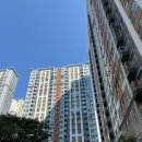 에코의 서재 이미지