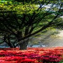 영광 - 동대문구 황물로15다길 15 | 영광