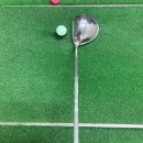 부여 새시장 | 부여 골프샵 여성 젝시오12 드라이버 매입하고 테일러메이드 올 뉴 글로리 시타 구매한 후기