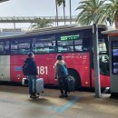 하례환승정류장 이미지