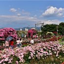곡성-187 이미지