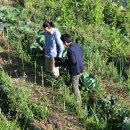 그린밥상 이미지