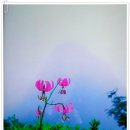 푸름목장 이미지