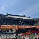 2호선 해운대역 7번출구 | 부산 부처님오신날 가기 좋은 해동용궁사 사찰