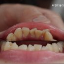 미앤드플라워치과의원 이미지