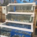 황토해물갈비찜 이미지