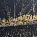 봄이네짜장 - 함안군 서남길 30 | 봄이네짜장