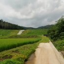 여주-0272 Daum카페