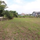 안덕면 서광서리 복지회관 이미지