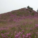 (주)안나여행사