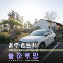 ㈜제주동백렌트카 | 제주 렌트카 돌하루팡 이용후기